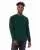 448785.webp