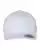 45007_f_fl.webp