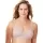 453096.webp