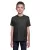 454427.webp
