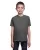 454437.webp