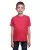 454447.webp