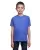 454462.webp