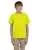 454500.webp