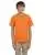 454510.webp