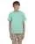 454535.webp