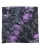 454679.webp