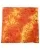 454681.webp