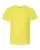 45544_f_fl.webp