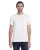 455993.webp