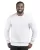 456133.webp