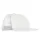 456562.webp