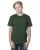 456598.webp