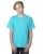 456623.webp