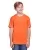 458129.webp