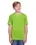 458139.webp