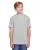 458184.webp