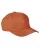 458995.webp