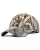 459201.webp