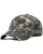 459202.webp