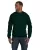 462243.webp