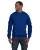 462245.webp