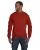 462247.webp