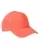 462287.webp