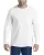462900.webp