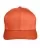 463431.webp