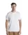 464424.webp