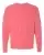 46759_f_fl.webp