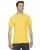 470019.webp