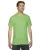 470061.webp