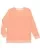478113.webp