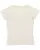 490091.webp