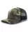 492947.webp