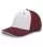 493209.webp
