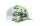 493593.webp