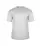 494000_F018_front.webp