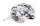 494350.webp