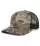 495059.webp