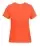496200_F027_front.webp