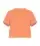496300_F731_front.webp