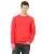 4994.webp
