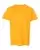 50038_f_fl.webp
