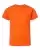 50043_f_fl.webp