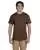5053.webp