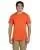5054.webp