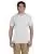 5062.webp